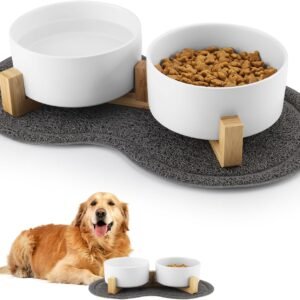 gamelle charmante pour chien