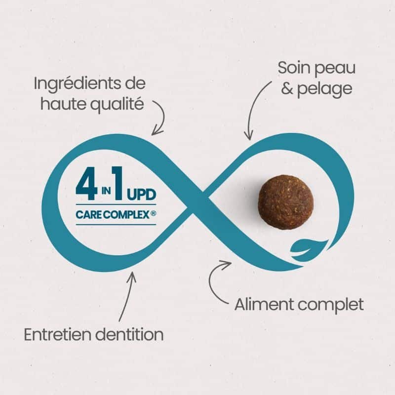 croquettes de chien de classe croquettes de chien de classe