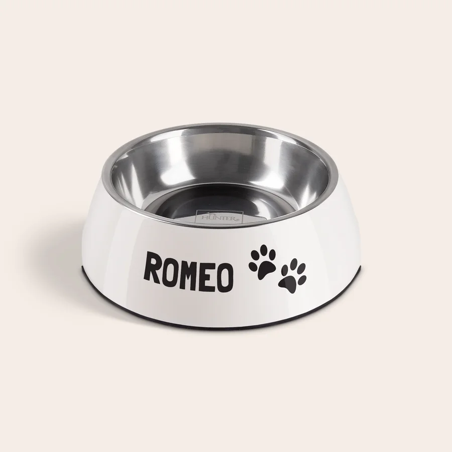 gamelle haute gamme gamelle haute gamme