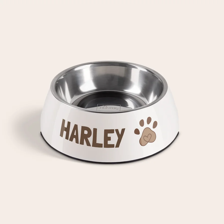 gamelle haute gamme gamelle haute gamme